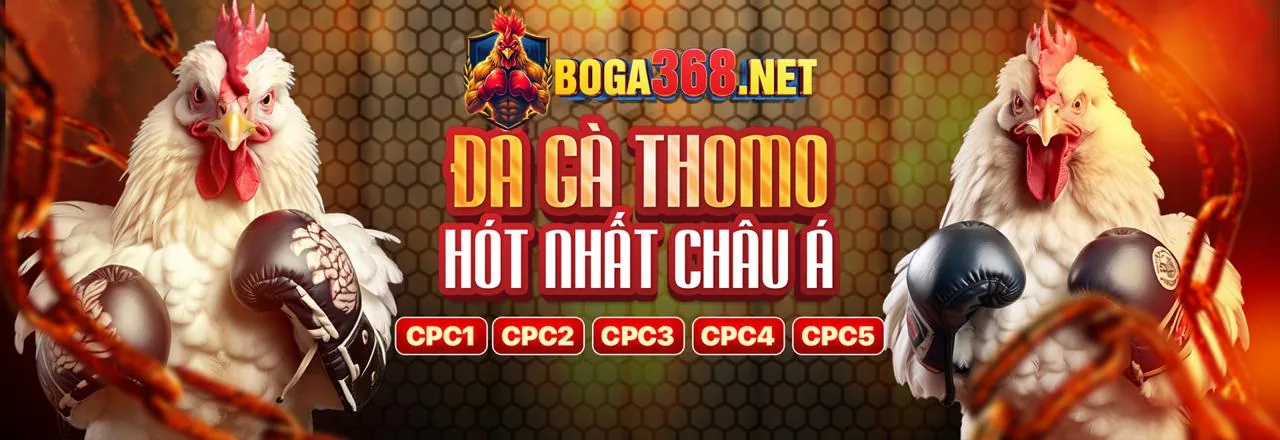 Đá Gà Trực Tuyến Đỉnh Cao tại Oxbet.in